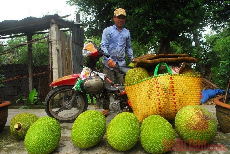 Tạo điều kiện cho nông sản lưu thông thuận lợi hơn